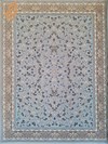 صدف - یخی