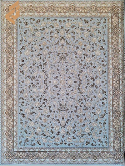 صدف - یخی